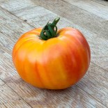 TOMATE ANANAS PINEAPPLE - Graines BIO