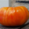 TOMATE ANANAS PINEAPPLE - Graines BIO | Ferme de Sainte Marthe | Graines et Bio