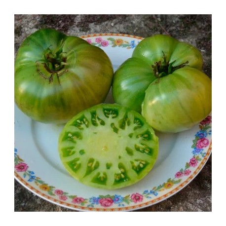 TOMATE VERTE ABSINTHE "Chair de Boeuf" - Graines BIO | KOKOPELLI | Graines et Bio