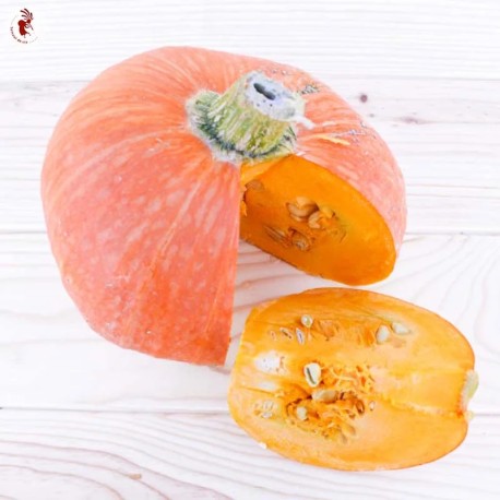 COURGE MAXIMA "Amish Pie" - Graines BIO | KOKOPELLI | Graines et Bio