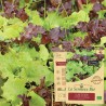 Pack "Les Incontournables du Potager" - Graines Bio |  | Graines et Bio