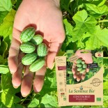 Pack "L'Apéro" - Graines Bio |  | Graines et Bio
