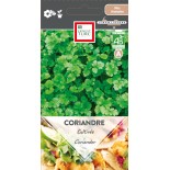 CORIANDRE CULTIVÉE - Graines BIO | Ernest Turc | Graines et Bio