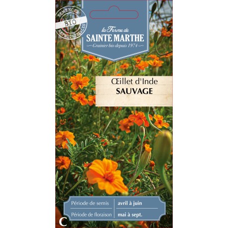 OEILLET D'INDE Sauvage ou TAGÈTE - Graines BIO | Ferme de Sainte Marthe | Graines et Bio