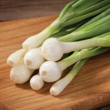 TRIO VELOUTÉ - Graines BIO PRÉSEMÉ | Ernest Turc | Graines et Bio