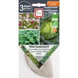 🥦 Graines POTAGER - TRIO GAGNANT: Chou Cosmos Mélisse - Graines BIO PRÉSEMÉ
