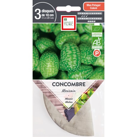 CONCOMBRE MEXICAIN - Graines BIO PRÉSEMÉ | Ernest Turc | Graines et Bio