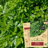Pack "Les Aromatiques" - Graines Bio |  | Graines et Bio