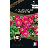 CAPUCINE NAINE Whirlybird Rose - Graines PREMIUM non traitées | SANRIVAL | Graines et Bio