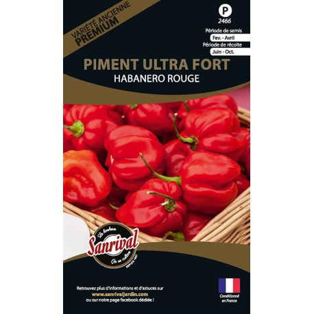 PIMENT ULTRA FORT - Graines PREMIUM non traitées | SANRIVAL | Graines et Bio PIMENT ULTRA FORT - Graines PREMIUM non traitées | SANRIVAL | Graines et Bio