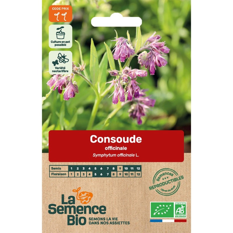 Grande Consoude - 30 graines - Symphytum Officinale (Engrais Vert