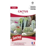 CACTUS - Graines non traitées | SANRIVAL | Graines et Bio