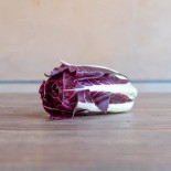 CHICORÉE AMÈRE Pintone - Graines BIO | KOKOPELLI | Graines et Bio