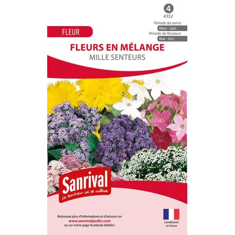 FLEURS MILLE SENTEURS - Graines en mélange fleuri | SANRIVAL | Graines et Bio