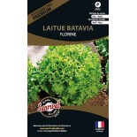LAITUE BATAVIA Florine - Graines PREMIUM non traitées | SANRIVAL | Graines et Bio
