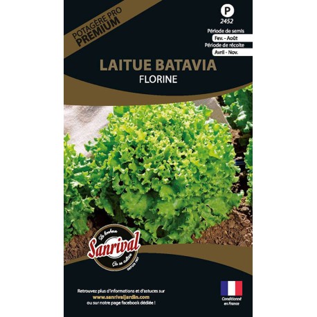 LAITUE BATAVIA Florine - Graines PREMIUM non traitées | SANRIVAL | Graines et Bio