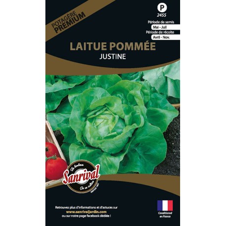 LAITUE POMMÉE Justine - Graines PREMIUM non traitées | SANRIVAL | Graines et Bio