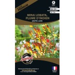 PLUME D'INDIEN ou MINA LOBATA - Graines PREMIUM non traitées | SANRIVAL | Graines et Bio