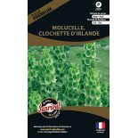 MOLUCELLE ou CLOCHETTE D'IRLANDE - Graines PREMIUM non traitées | SANRIVAL | Graines et Bio