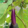 AUBERGINE VIOLETTE de TOULOUSE - Graines BIO | La Semence Bio | Graines et Bio