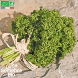 PERSIL FRISÉ Vert Foncé - Graines BIO | La Semence Bio | Graines et Bio