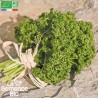 PERSIL FRISÉ Vert Foncé - Graines BIO | La Semence Bio | Graines et Bio