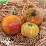 TOMATE ANANAS - Graines BIO