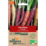 CAROTTES EN MÉLANGE DE COULEURS - Graines BIO | La Semence Bio | Graines et Bio
