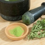 STEVIA Plante à sucre - Graines BIO | KOKOPELLI | Graines et Bio