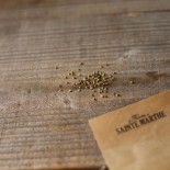 CHÉNOPODE BON HENRI - Graines BIO | Ferme de Sainte Marthe | Graines et Bio
