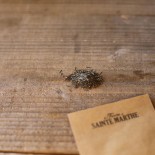ESTRAGON de Russie - Graines BIO | Ferme de Sainte Marthe | Graines et Bio