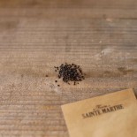 THÉ GREC des MONTAGNES - Graines BIO | Ferme de Sainte Marthe | Graines et Bio