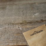 ORTIE DIOÏQUE - Graines BIO | Ferme de Sainte Marthe | Graines et Bio