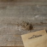 PERSIL FRISÉ NAIN - Graines BIO | Ferme de Sainte Marthe | Graines et Bio