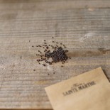 NAVET RUTABAGA Friese Gele - Graines BIO | Ferme de Sainte Marthe | Graines et Bio