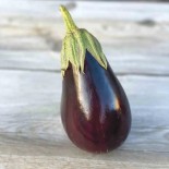 🍆 Graines d'AUBERGINE - AUBERGINE BLACK BEAUTY - Graines BIO