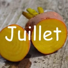 calendrier semis avril