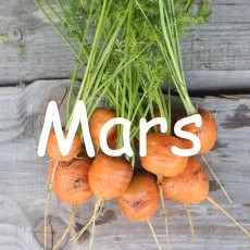 calendrier semis mars