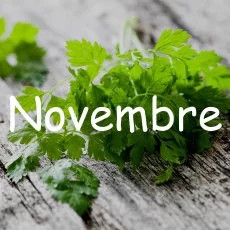 calendrier semis novembre